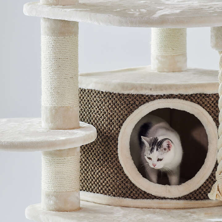 Nobby Kratzbaum Elif